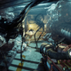 prey game pass